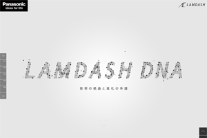 LAMDASH DNA