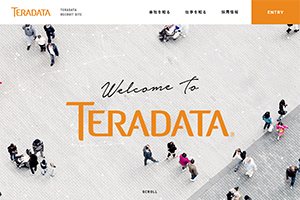 日本テラデータ株式会社